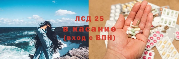 ГАЛЛЮЦИНОГЕННЫЕ ГРИБЫ Балабаново