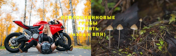 ГАЛЛЮЦИНОГЕННЫЕ ГРИБЫ Балабаново